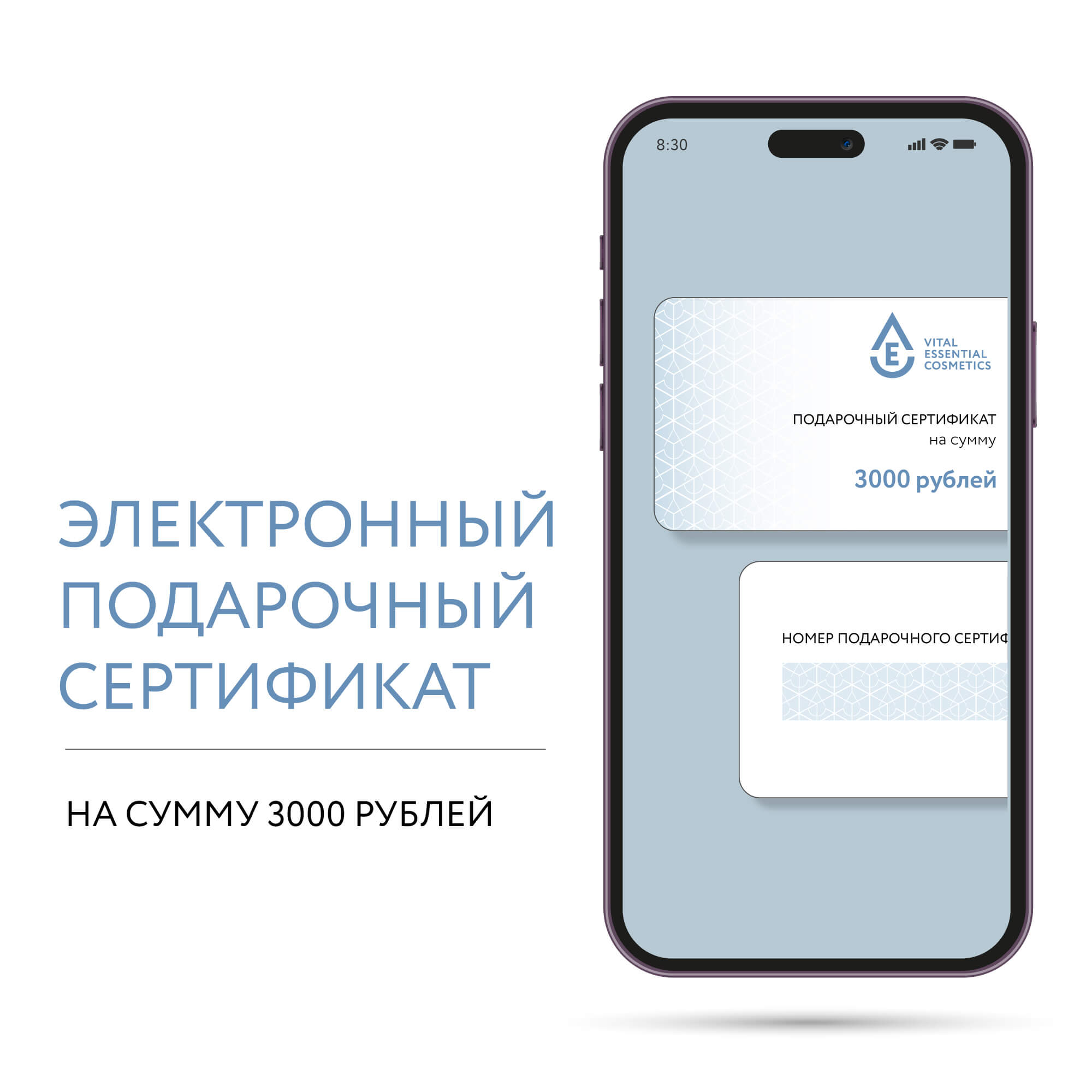 Подарочный сертификат на сумму 3 000 рублей (электронный)